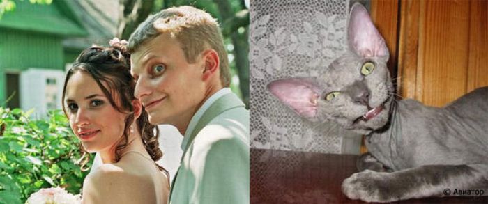 700x293, 40 Kb / жених