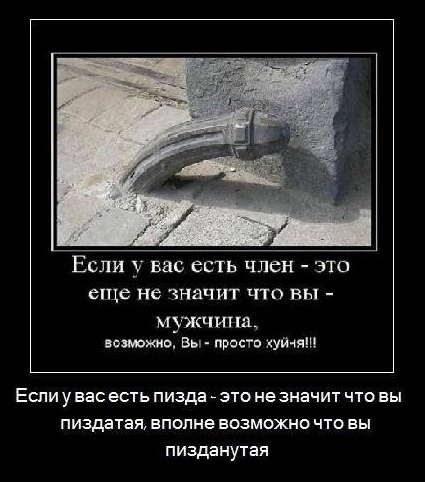 425x482, 105 Kb / демотиватор, если у вас есть член