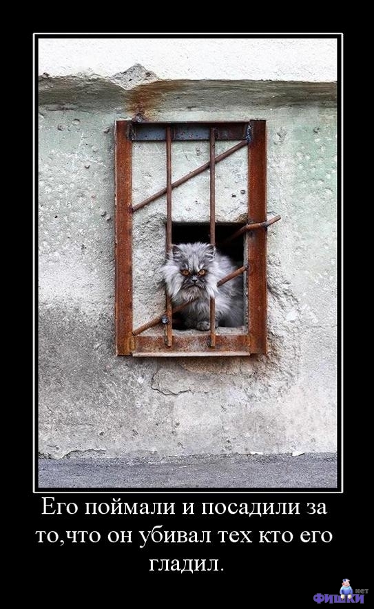 543x883, 250 Kb / котэ, тюрьма, демотиватор, решетка