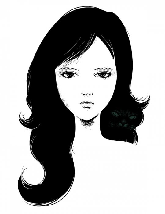 540x702, 31 Kb / котэ