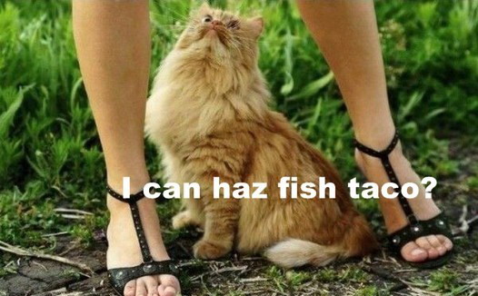 526x326, 62 Kb / кот, ноги, юбка