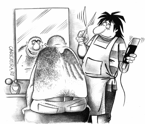 600x513, 71 Kb / волосы, крылья, ангел, парикмахер, стрижка