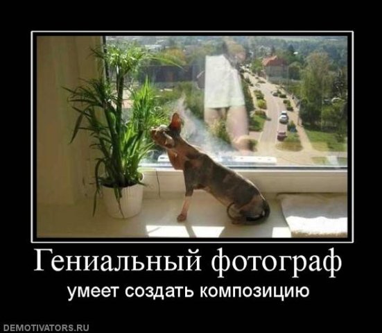 551x480, 44 Kb / демотиватор