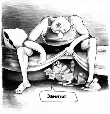 450x466, 41 Kb / тапки,кот, кровать