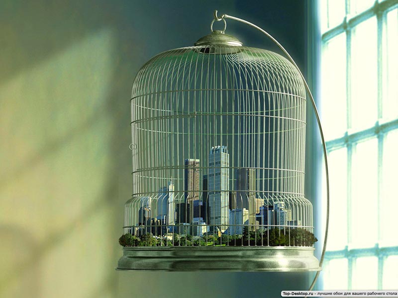 800x600, 90 Kb / город, клетка