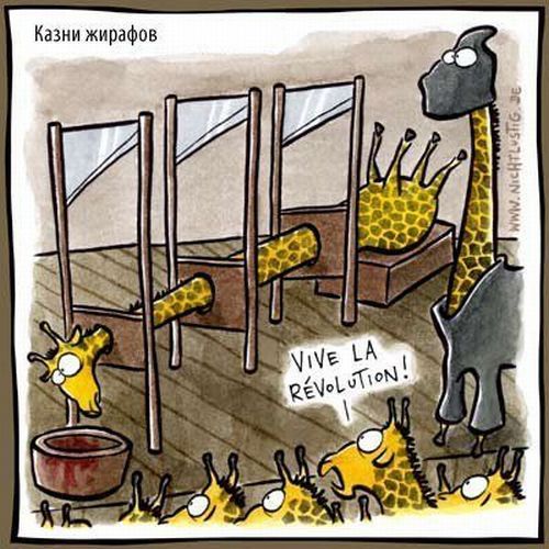 500x500, 70 Kb / жираф, казнь, гильотина