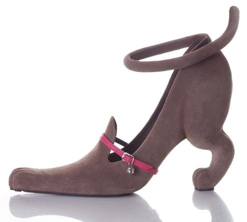 493x443, 17 Kb / туфли, собака