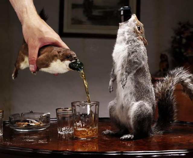 639x525, 81 Kb / бутылка, чехол