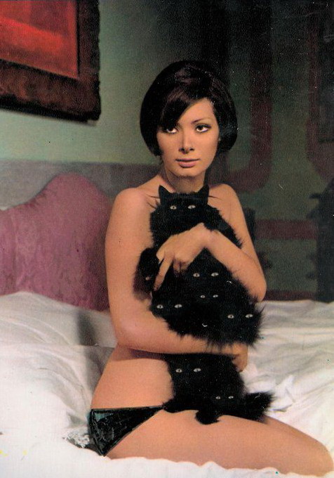 476x680, 91 Kb / ретро, кошки