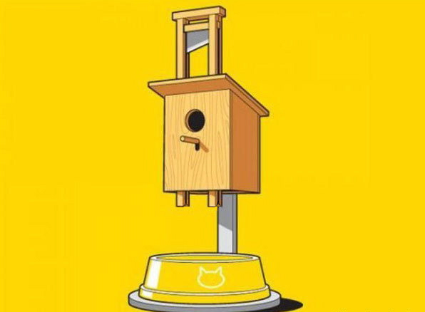 596x438, 75 Kb / кормушка для тупых кошек