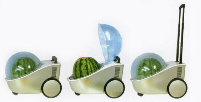 639x325, 32 Kb / арбуз, тележка