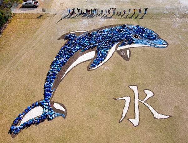 600x456, 54 Kb / дельфин, мусор