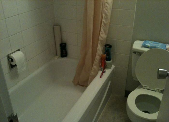 700x507, 42 Kb / туалет, бумага, унитаз, ванная