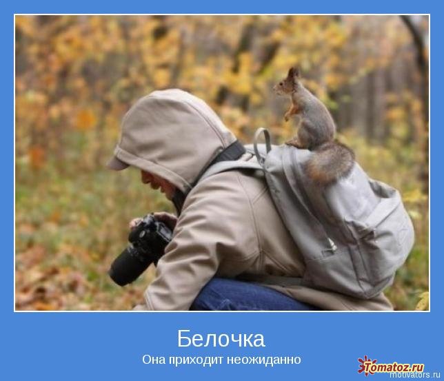 644x553, 50 Kb / белка, фотограф