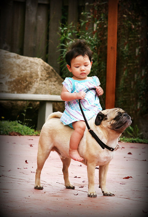 600x877, 135 Kb / собака, ребенок