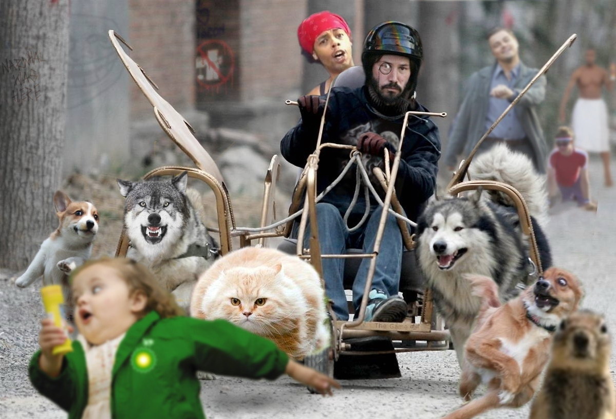 1199x815, 222 Kb / коллаж