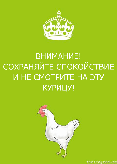 480x672, 90 Kb / спокойствие, курица