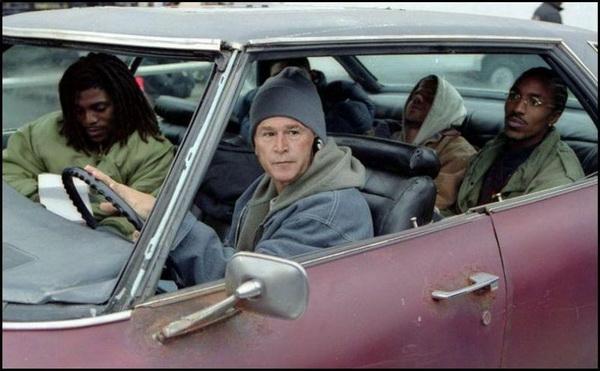 600x371, 37 Kb / буш