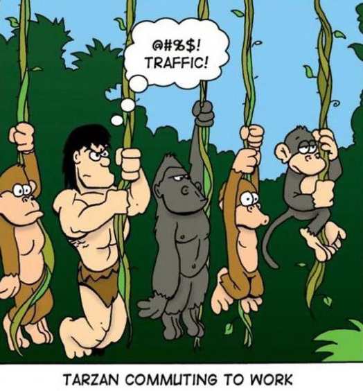 524x564, 91 Kb / карикатура, тарзан