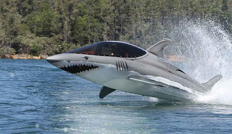 750x436, 139 Kb / катер, акула