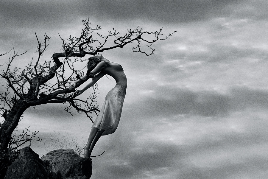 900x601, 293 Kb / дерево, худая, ч/б