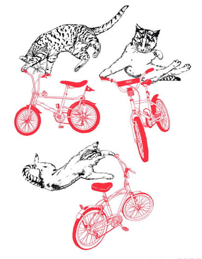 411x527, 55 Kb / котэ, кот, бмх, бэмсер