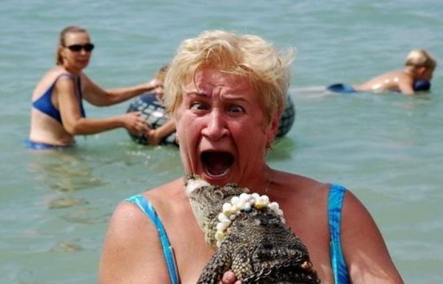 639x410, 67 Kb / море, крокодил