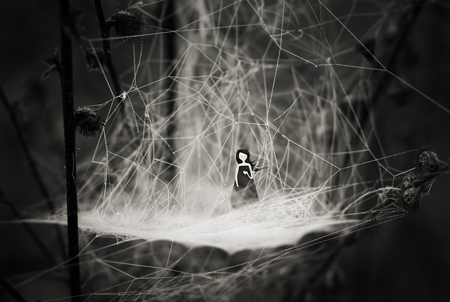 900x605, 252 Kb / паутина, ч/б