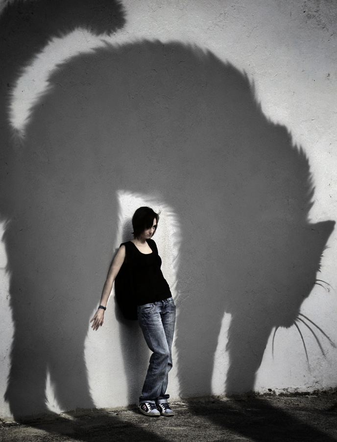 688x900, 187 Kb / тень