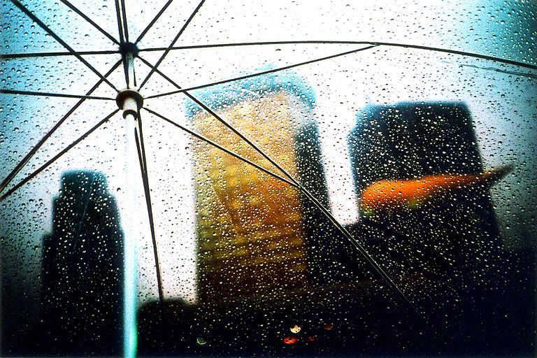 768x512, 133 Kb / зонт, дождь