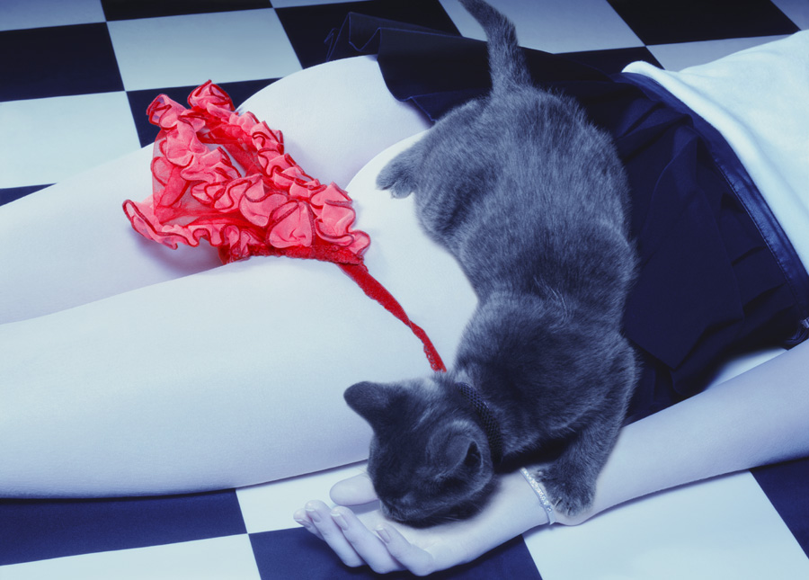 900x645, 156 Kb / Кот, трусы, попа, красный