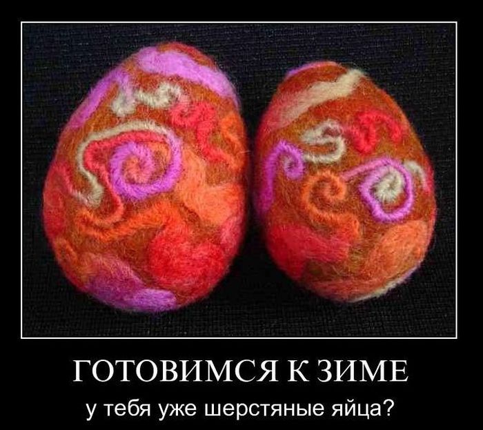 700x623, 80 Kb / демотиватор, зима, мороз, холода, яйца