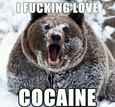 466x437, 87 Kb / медведь, кокаин