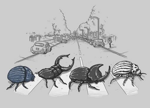 510x368, 34 Kb / жуки, битлс, переход