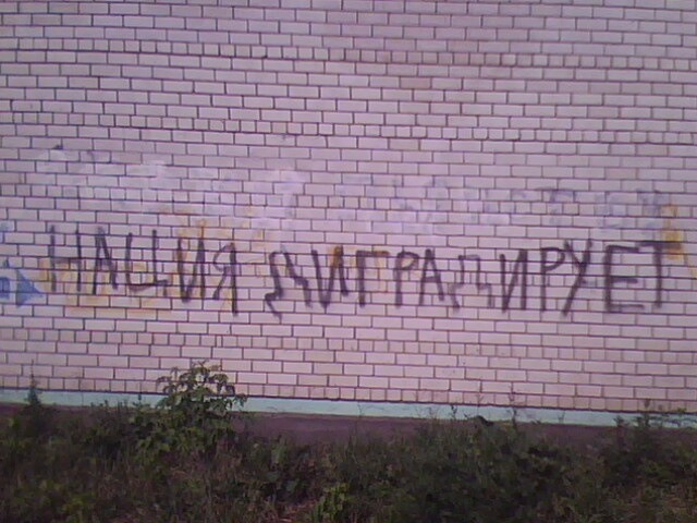 640x480, 85 Kb / деградация