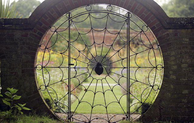 639x407, 114 Kb / ограда, забор, паук, паутина