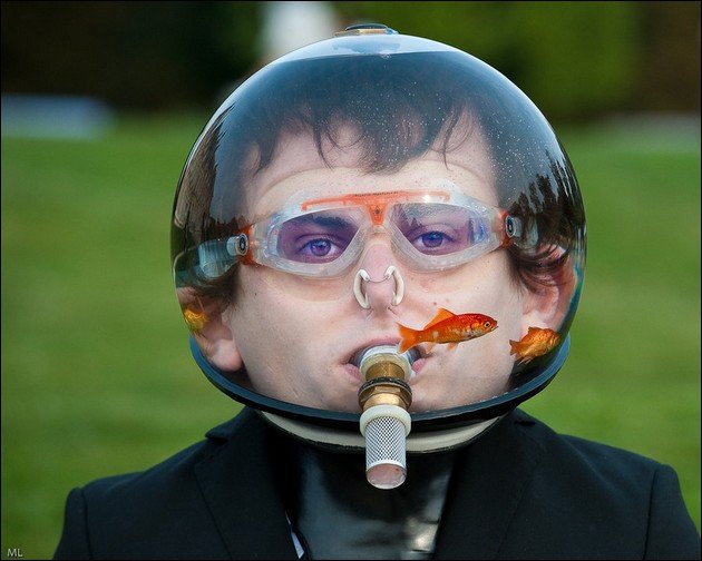 630x504, 55 Kb / аквариум, шлем