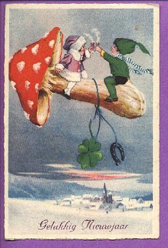 340x503, 61 Kb / гриб