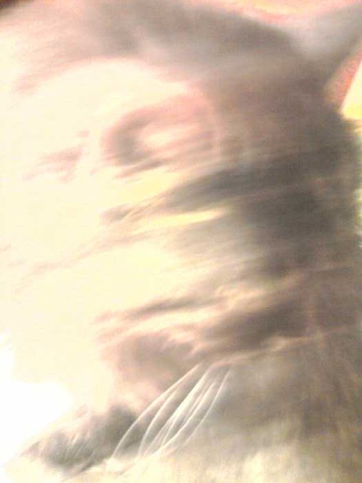 525x700, 34 Kb / привидение