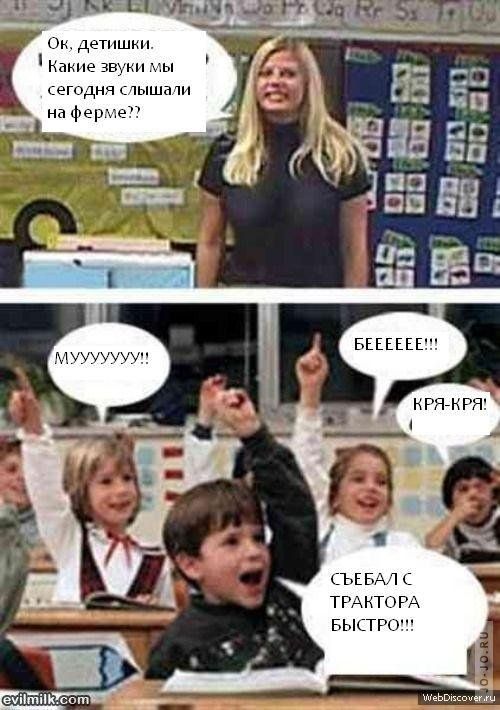 500x710, 64 Kb / звуки, ферма