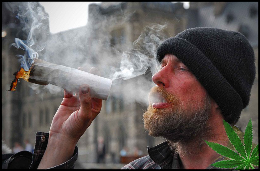 842x552, 276 Kb / план