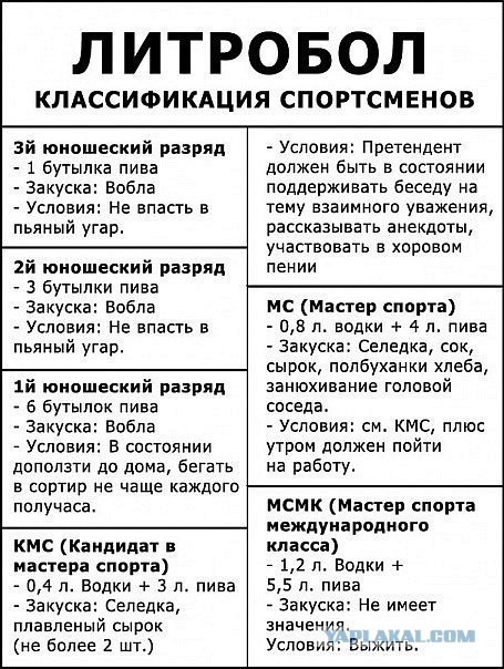 455x604, 106 Kb / литрбол