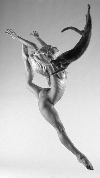 337x600, 31 Kb / прыжок, кошка, ч/б, балет