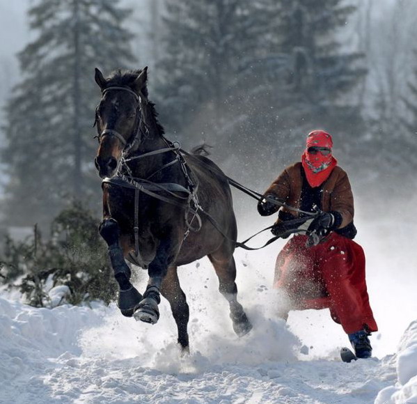 599x580, 92 Kb / конь, джигит