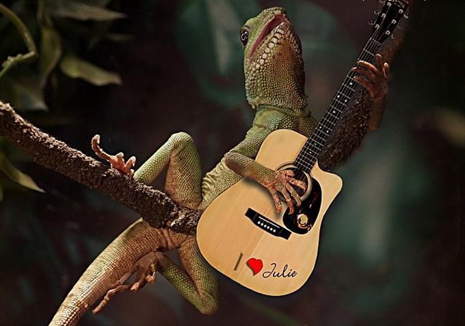 680x476, 81 Kb / ящерица, гитара