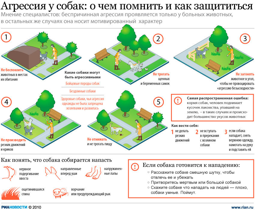 850x701, 297 Kb / схема, агрессия, собаки