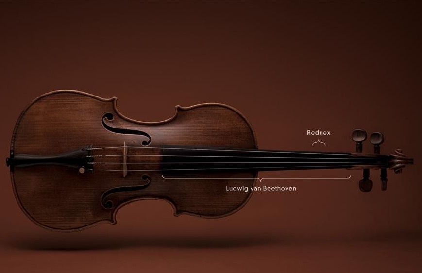 869x563, 53 Kb / скрипка