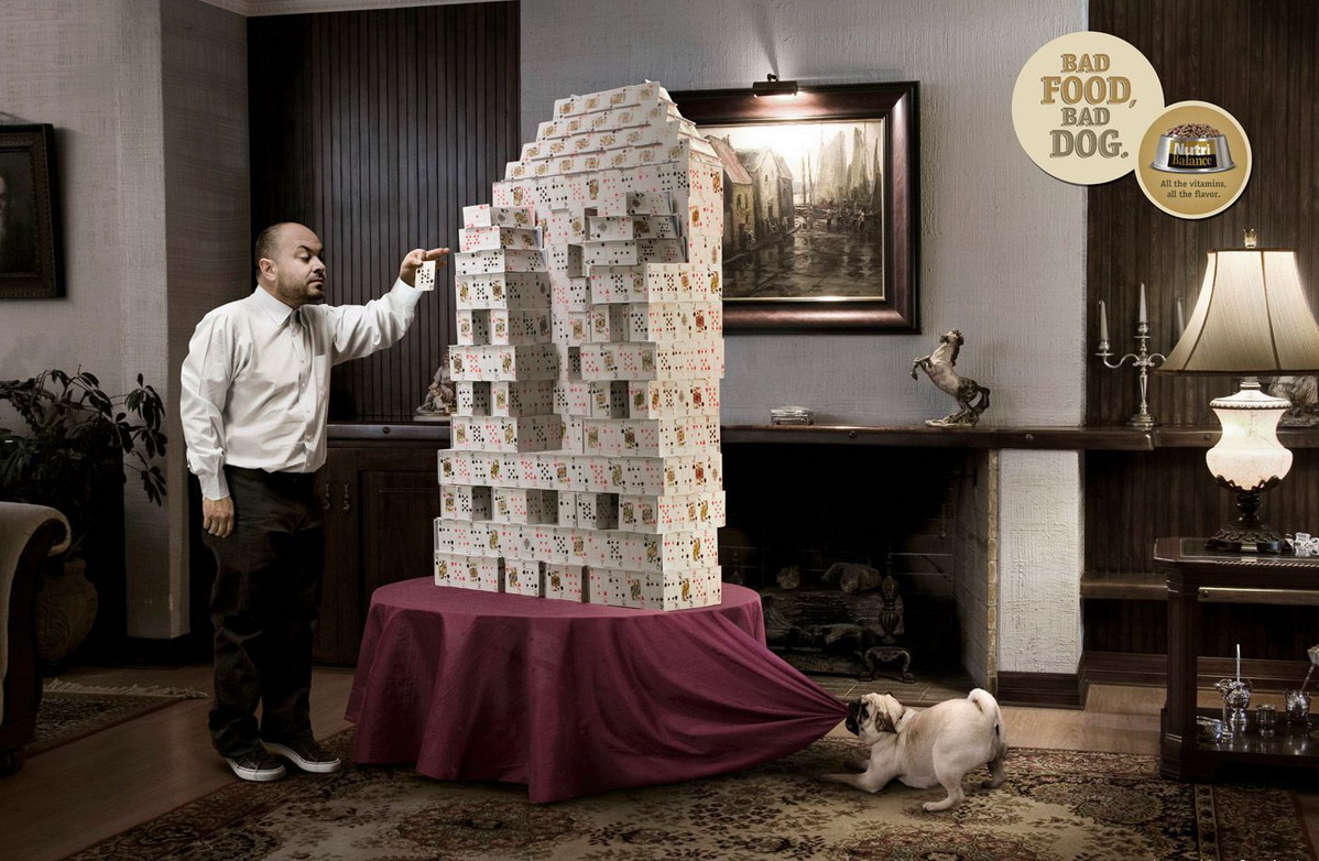 1198x782, 270 Kb / пес, карты, реклама