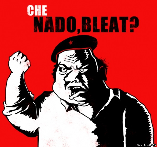 604x565, 146 Kb / блеать, че геварра