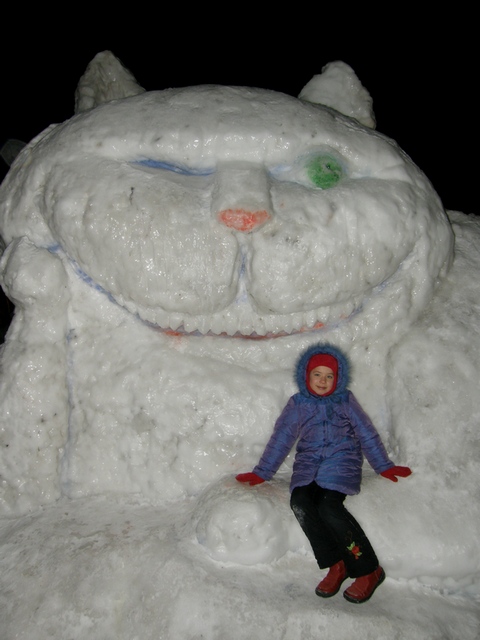 480x640, 105 Kb / Алиса, кот